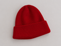 Everyday Beanie